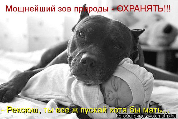 Мощнейший зов природы - ОХРАНЯТЬ!!! - Рексюш, ты все ж пускай хотя бы мать...... Котоматрица: Мощнейший зов природы - ОХРАНЯТЬ!!! - Рексюш, ты все ж пускай хотя бы мать...