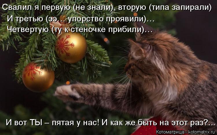 Котоматрица: Свалил я первую (не знали), вторую (типа запирали) И третью (ээ… упорство проявили)… Четвертую (ту к стеночке прибили)… И вот ТЫ – пятая у нас