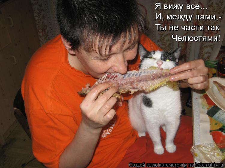 Я вижу все... И, между нами,- Ты не части так Челюстями!... Котоматрица: Я вижу все... И, между нами,- Ты не части так Челюстями!