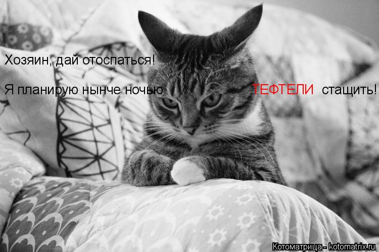Хозяин, дай отоспаться! Я планирую нынче ночью ТЕФТЕЛИ стащить!... Котоматрица: Хозяин, дай отоспаться! Я планирую нынче ночью ТЕФТЕЛИ стащить!