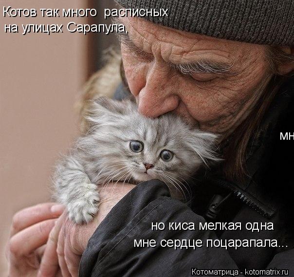 Котов так много расписных на улицах Сарапула, мне сердце поцарапала... мне сердце поцарапала... но... Котоматрица: Котов так много расписных на улицах Сарапула, мне сердце поцарапала... мне сердце поцарапала... но киса мелкая одна