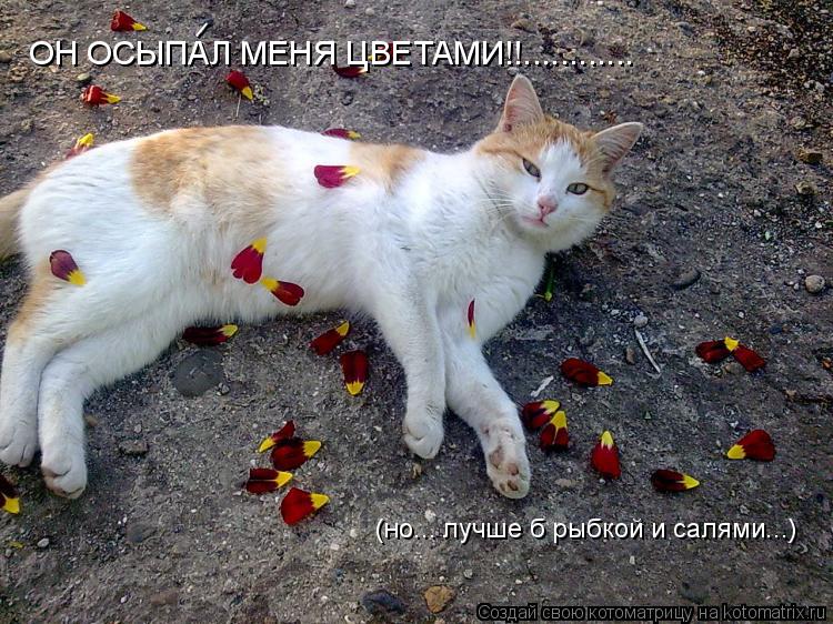 ОН ОСЫПАЛ МЕНЯ ЦВЕТАМИ!!............ (но... лучше б рыбкой и салями...) –... Котоматрица: ОН ОСЫПАЛ МЕНЯ ЦВЕТАМИ!!............ (но... лучше б рыбкой и салями...) –