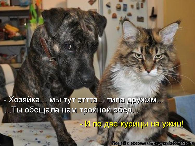 - Хозяйка... мы тут эттта... типа дружим... ...Ты обещала нам тройной обед... - И по две курицы на уж... Котоматрица: - Хозяйка... мы тут эттта... типа дружим... ...Ты обещала нам тройной обед... - И по две курицы на ужин!