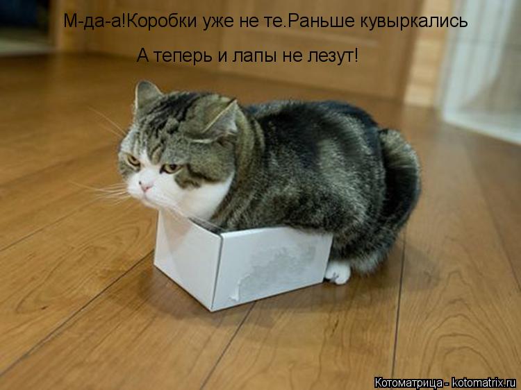М-да-а!Коробки уже не те.Раньше кувыркались А теперь и лапы не лезут!... Котоматрица: М-да-а!Коробки уже не те.Раньше кувыркались А теперь и лапы не лезут!