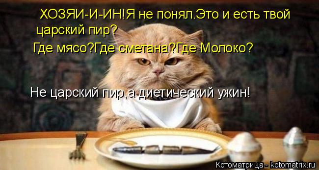 ХОЗЯИ-И-ИН!Я не понял.Это и есть твой царский пир? Где мясо?Где сметана?Где Молоко? Не царский пир,а ... Котоматрица: ХОЗЯИ-И-ИН!Я не понял.Это и есть твой царский пир? Где мясо?Где сметана?Где Молоко? Не царский пир,а диетический ужин!
