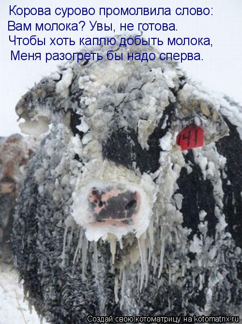 Корова сурово промолвила слово: Вам молока? Увы, не готова. Чтобы хоть каплю добыть молока, Меня разо... Котоматрица: Корова сурово промолвила слово: Вам молока? Увы, не готова. Чтобы хоть каплю добыть молока, Меня разогреть бы надо сперва.