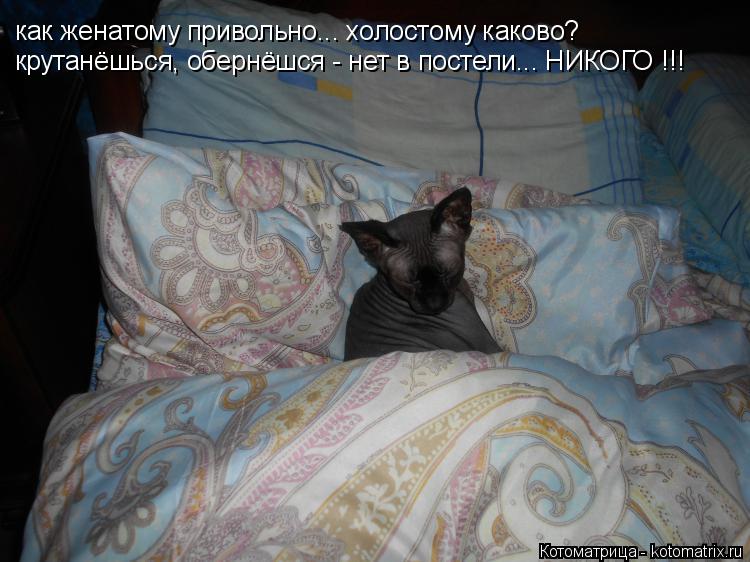 как женатому привольно... холостому каково? крутанёшься, обернёшся - нет в постели... НИКОГО !!!... Котоматрица: как женатому привольно... холостому каково? крутанёшься, обернёшся - нет в постели... НИКОГО !!!