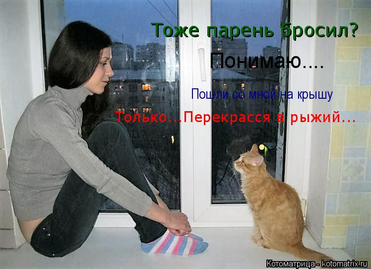 Тоже парень бросил? Понимаю.... Пошли со мной на крышу Только...Перекрасся в рыжий...... Котоматрица: Тоже парень бросил? Понимаю.... Пошли со мной на крышу Только...Перекрасся в рыжий...
