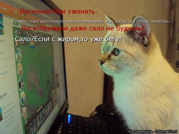 -Васенька!Иди ужинать. ...Хозяйку надо воспитывать.Нельзя прерывать игру,когда она только началась...... Котоматрица: -Васенька!Иди ужинать. ...Хозяйку надо воспитывать.Нельзя прерывать игру,когда она только началась... -Вася!Неужели даже сало не будешь? -Сало?