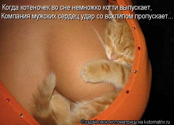 Когда котеночек во сне немножко когти выпускает, Компания мужских сердец удар со всхлипом пропускает.... Котоматрица: Когда котеночек во сне немножко когти выпускает, Компания мужских сердец удар со всхлипом пропускает...