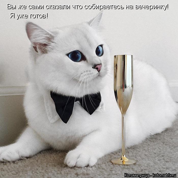 Вы же сами сказали что собираетесь на вечеринку! Я уже готов!... Котоматрица: Вы же сами сказали что собираетесь на вечеринку! Я уже готов!