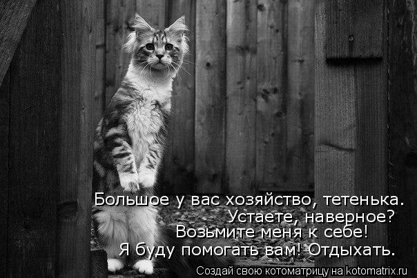 Большое у вас хозяйство, тетенька. Устаете, наверное? Возьмите меня к себе! Я буду помогать вам! Отды... Котоматрица: Большое у вас хозяйство, тетенька. Устаете, наверное? Возьмите меня к себе! Я буду помогать вам! Отдыхать.