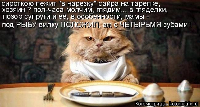 сироткою лежит "в нарезку" сайра на тарелке, хозяин ? пол-часа молчим, глядим... в гляделки, позор су... Котоматрица: сироткою лежит "в нарезку" сайра на тарелке, хозяин ? пол-часа молчим, глядим... в гляделки, позор супруги и её, в особенности, мамы - под РЫБУ ви