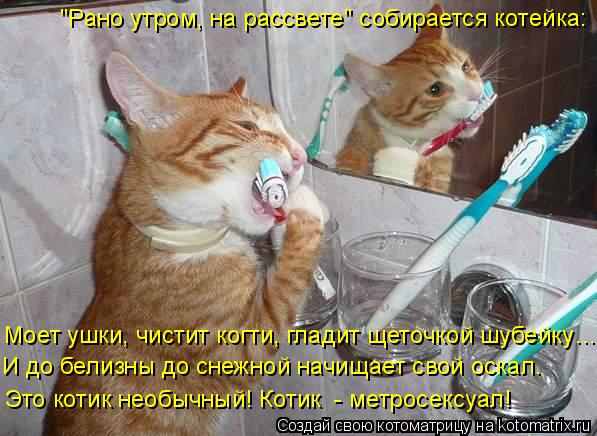 Моет ушки, чистит когти, гладит щеточкой шубейку… И до белизны до снежной начищает свой оскал. Это ко... Котоматрица: Моет ушки, чистит когти, гладит щеточкой шубейку… И до белизны до снежной начищает свой оскал. Это котик необычный! Котик - метросексуал! "Р