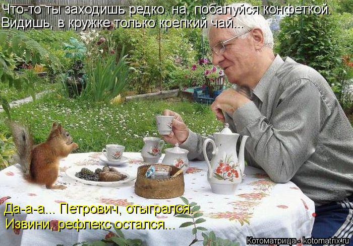 Котоматрица: Что-то ты заходишь редко, на, побалуйся конфеткой. Видишь, в кружке только крепкий чай... Да-а-а... Петрович, отыгрался. Извини, рефлекс остался.