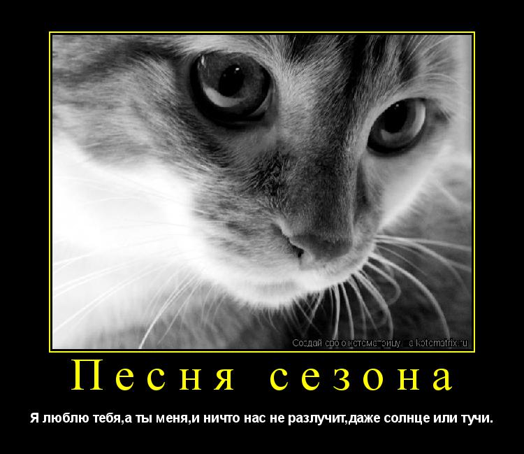 Котоматрица: Песня сезона Я люблю тебя,а ты меня,и ничто нас не разлучит,даже солнце или тучи.