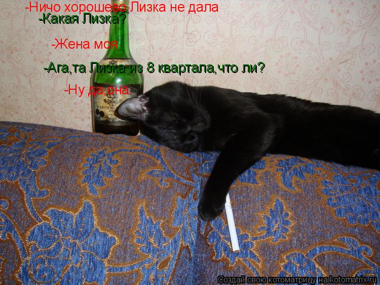Котоматрица: -Ничо хорошево Лизка не дала -Какая Лизка? -Жена моя -Ага,та Лизка из 8 квартала,что ли? -Ну да,она.