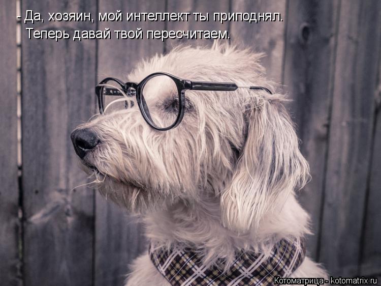 Котоматрица: - Да, хозяин, мой интеллект ты приподнял. Теперь давай твой пересчитаем.
