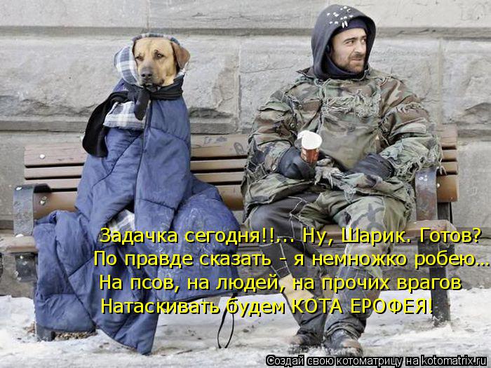Котоматрица: Задачка сегодня!!... Ну, Шарик. Готов? По правде сказать - я немножко робею… На псов, на людей, на прочих врагов Натаскивать будем КОТА ЕРОФЕЯ!