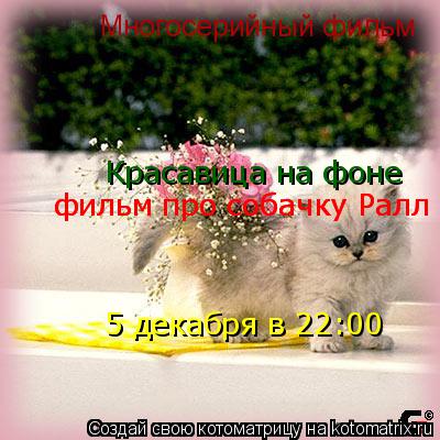 Котоматрица: Многосерийный фильм Красавица на фоне фильм про собачку Ралл 5 декабря в 22:00 фильм про собачку Ралл