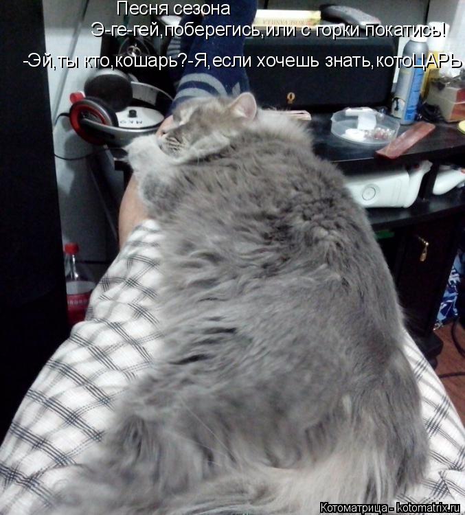 Котоматрица: Песня сезона Э-ге-гей,поберегись,или с горки покатись! -Эй,ты кто,кошарь?-Я,если хочешь знать,котоЦАРЬ