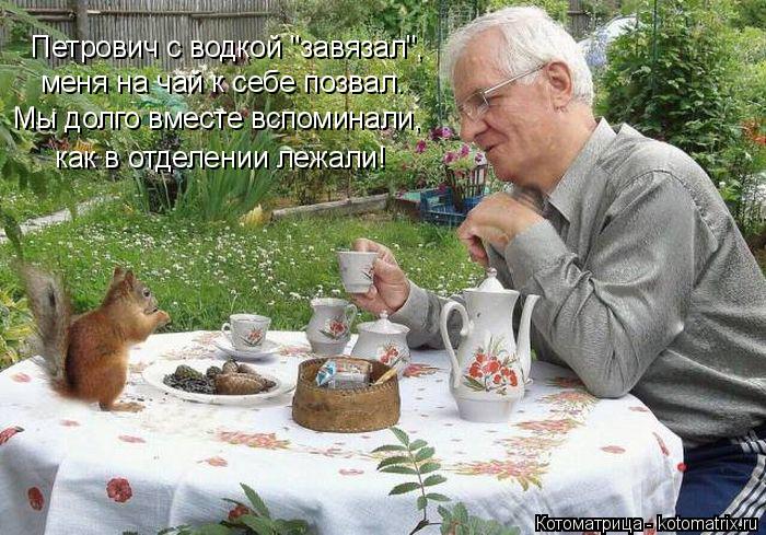 Котоматрица: меня на чай к себе позвал. Петрович с водкой "завязал", Мы долго вместе вспоминали, как в отделении лежали!