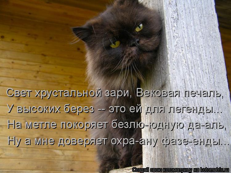 Котоматрица: Свет хрустальной зари, Вековая печаль, На метле покоряет безлю-юдную да-аль, У высоких берез -- это ей для легенды... Ну а мне доверяет охра-ану