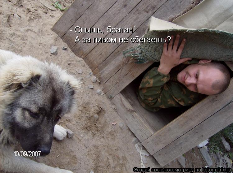 Котоматрица: - Слышь, братан! А за пивом не сбегаешь?