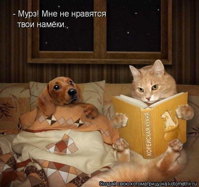 Котоматрица: - Мурз! Мне не нравятся твои намёки.