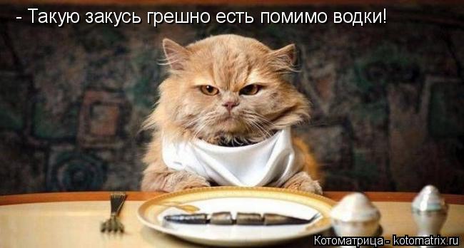 Котоматрица: - Такую закусь грешно есть помимо водки!