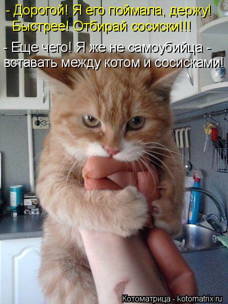 Котоматрица: - Дорогой! Я его поймала, держу! Быстрее! Отбирай сосиски!!! - Еще чего! Я же не самоубийца - вставать между котом и сосисками!