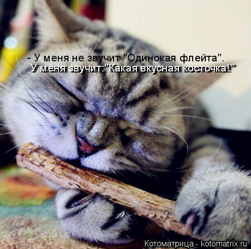 Котоматрица: - У меня не звучит "Одинокая флейта". У меня звучит:"Какая вкусная косточка!" У меня звучит:"Какая вкусная косточка!"