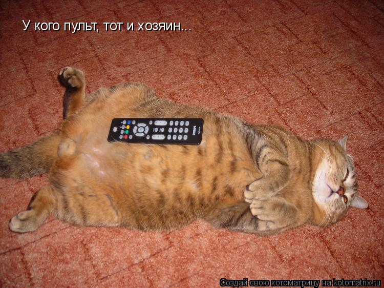 Котоматрица: У кого пульт, тот и хозяин...