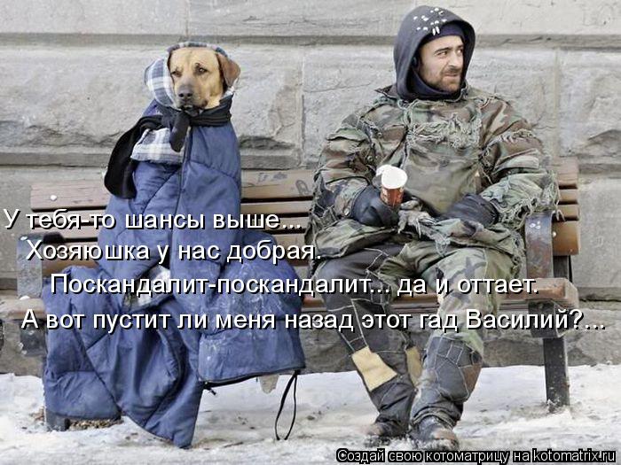 Котоматрица: У тебя-то шансы выше...  Хозяюшка у нас добрая. А вот пустит ли меня назад этот гад Василий?... Поскандалит-поскандалит... да и оттает.