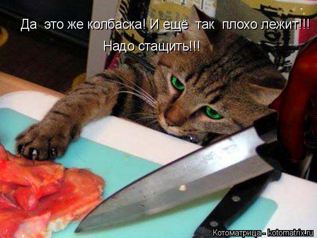 Котоматрица: Да  это же колбаска! И ещё  так  плохо лежит!!!                                                               Надо стащить!!!