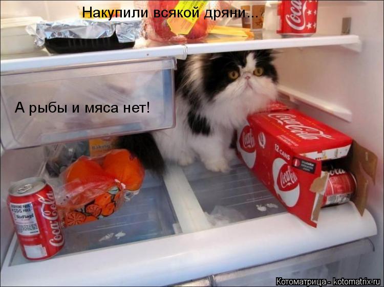 Котоматрица: Накупили всякой дряни... А рыбы и мяса нет!