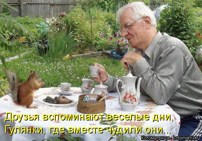 Котоматрица: Друзья вспоминают веселые дни, Гулянки, где вместе чудили они...