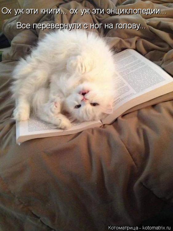 Котоматрица: Ох уж эти книги... ох уж эти энциклопедии... Все перевернули с ног на голову...