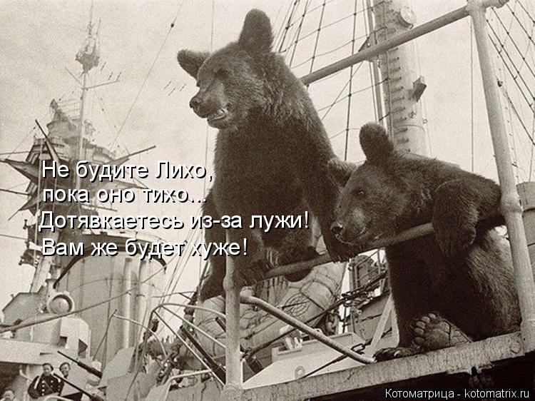 Котоматрица: Не будите Лихо, пока оно тихо... Дотявкаетесь из-за лужи! Вам же будет хуже!
