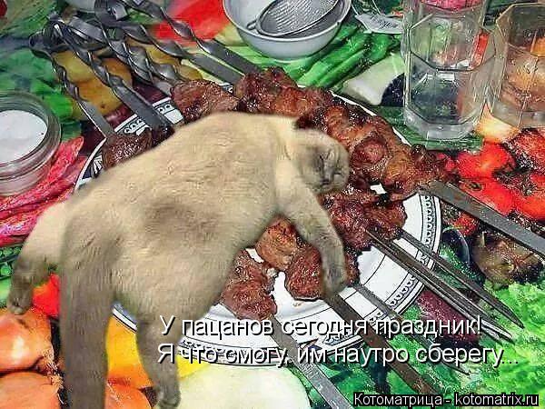 Котоматрица: У пацанов сегодня праздник! Я что смогу, им наутро сберегу...