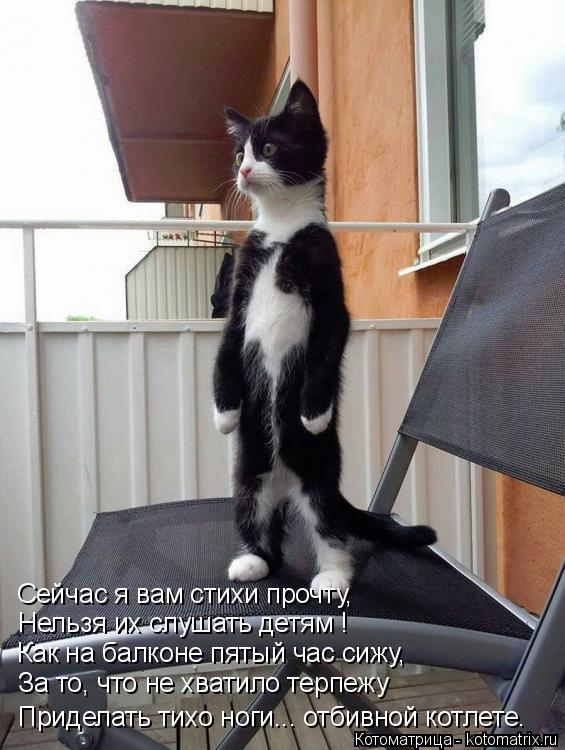 Котоматрица: Сейчас я вам стихи прочту, Нельзя их слушать детям ! Как на балконе пятый час сижу, За то, что не хватило терпежу Приделать тихо ноги... отбивн
