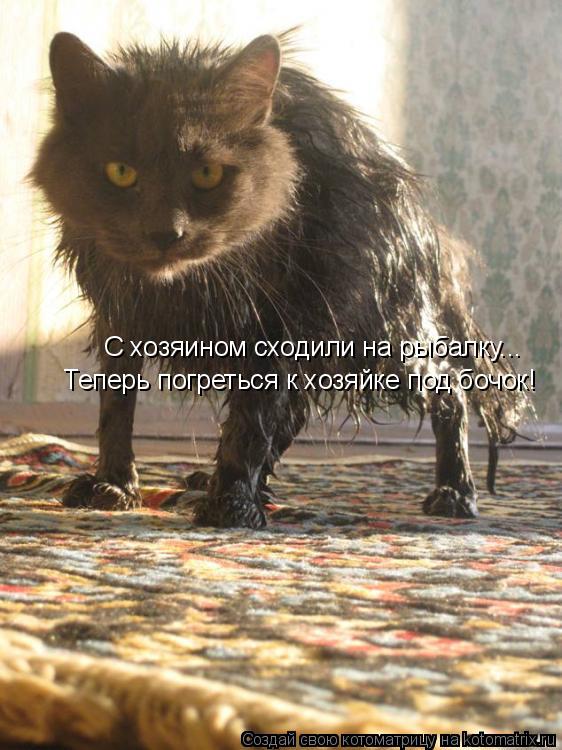 Котоматрица: С хозяином сходили на рыбалку... Теперь погреться к хозяйке под бочок!