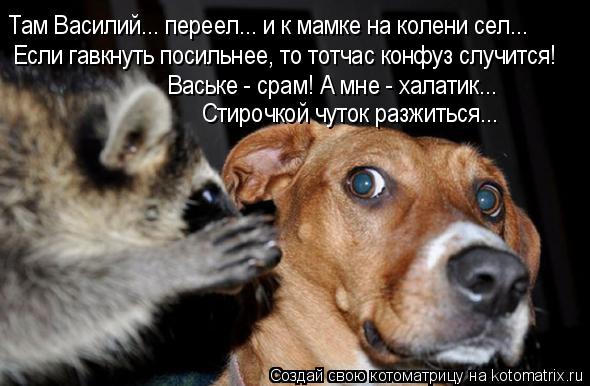 Котоматрица: Там Василий... переел... и к мамке на колени сел... Если гавкнуть посильнее, то тотчас конфуз случится! Ваське - срам! А мне - халатик...  Стирочкой