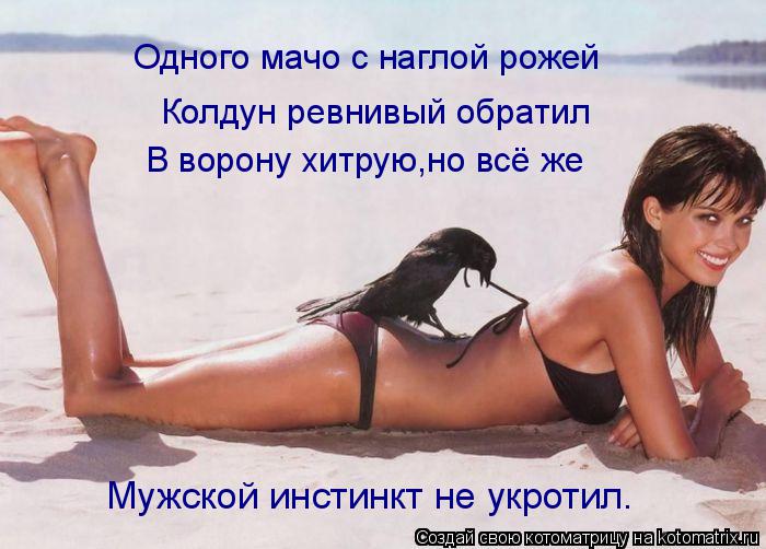 Котоматрица: Одного мачо с наглой рожей Колдун ревнивый обратил В ворону хитрую,но всё же Мужской инстинкт не укротил.