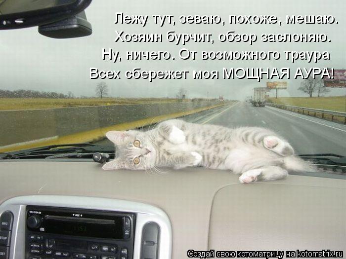 Лежу тут, зеваю, похоже, мешаю. Хозяин бурчит, обзор заслоняю. Ну, ничего. От возможного траура Всех ... Котоматрица: Лежу тут, зеваю, похоже, мешаю. Хозяин бурчит, обзор заслоняю. Ну, ничего. От возможного траура Всех сбережет моя МОЩНАЯ АУРА!