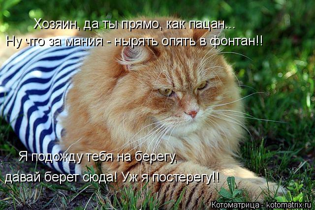 Котоматрица: Хозяин, да ты прямо, как пацан... Ну что за мания - нырять опять в фонтан!! Я подожду тебя на берегу, давай берет сюда! Уж я постерегу!!