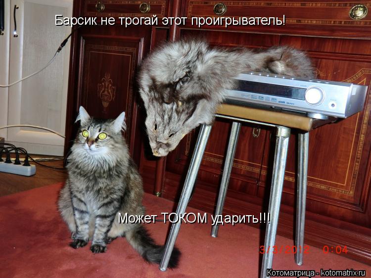 Котоматрица: Барсик не трогай этот проигрыватель! Может ТОКОМ ударить!!!