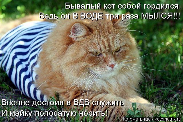 Котоматрица: Бывалый кот собой гордился. И майку полосатую носить! Ведь он В ВОДЕ три раза МЫЛСЯ!!! Вполне достоин в ВДВ служить