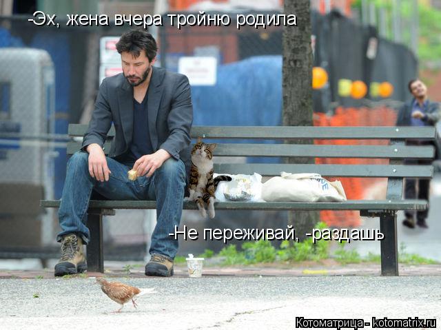 -Эх, жена вчера тройню родила -Не переживай, -раздашь... Котоматрица: -Эх, жена вчера тройню родила -Не переживай, -раздашь