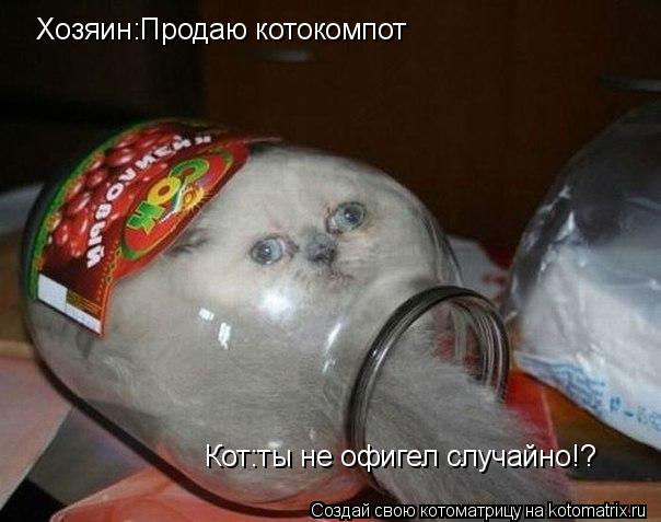 Котоматрица: Хозяин:Продаю котокомпот Кот:ты не офигел случайно!?